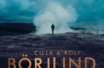 Rönning & Stilton 5 – Koudvuur