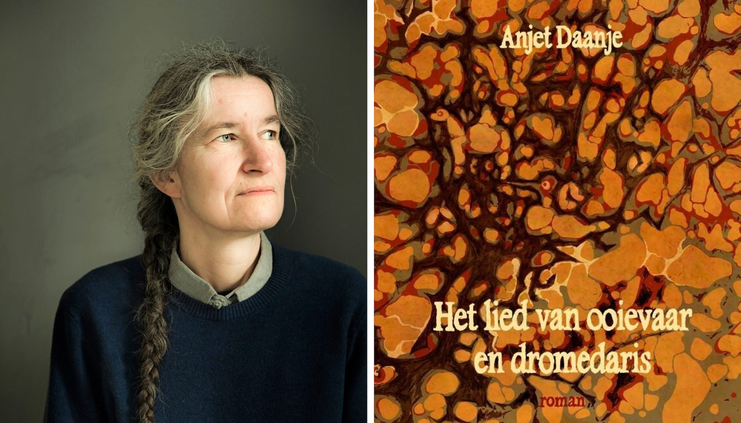 Het lied van ooievaar en dromedaris - Anjet Daanje
