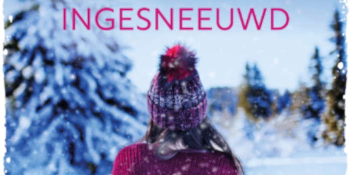 Ingesneeuwd - Suzanne Vermeer
