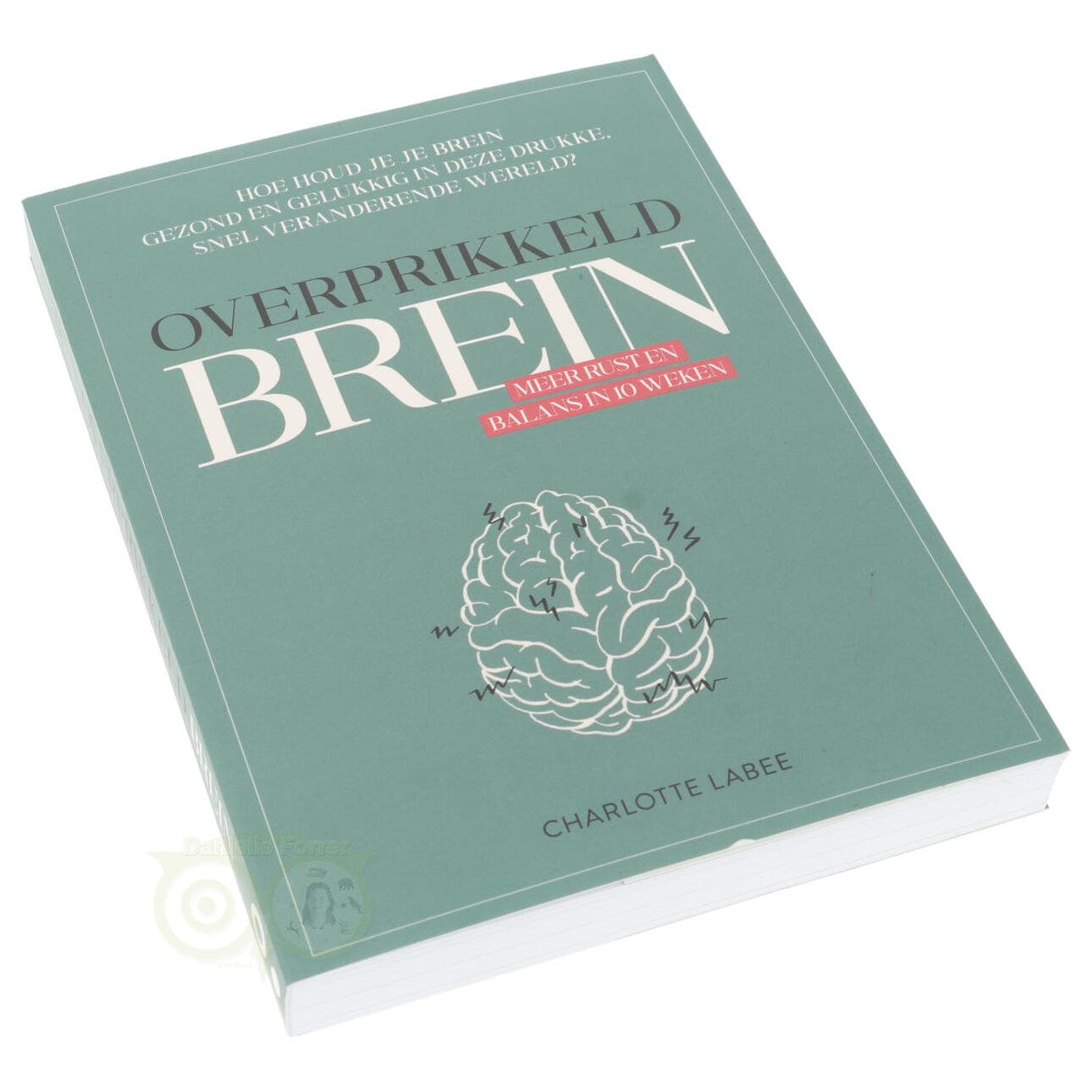 Overprikkeld brein - Charlotte Labee