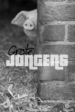 Grote jongens – Werner van Looy